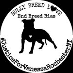 justiceforvanessarochesterny profile picture