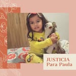 justiciaparapaula profile picture