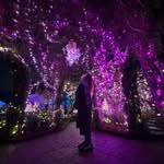 justinashih profile picture