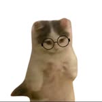 just_soumyajit profile picture