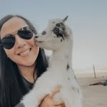 jvjohnsonranch profile picture