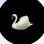 jyotiprakash__barik profile picture