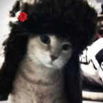k.yli_ profile picture