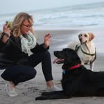 k9_academy_int profile picture