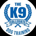 k9collegiate profile picture