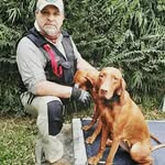 k9escueladeadiestramiento profile picture
