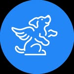 k9sportsack profile picture