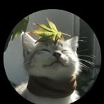 k_creative_11 profile picture