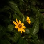 kaam_bharii_ profile picture