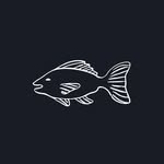 kabawa profile picture