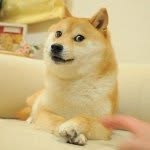 kabosumama profile picture