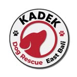 kadek.dogs.rescue profile picture