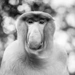 kael_serguira profile picture