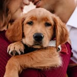 kahluasadventures profile picture