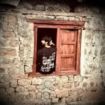 kaiifiiii profile picture