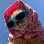 kaillygram profile picture