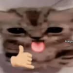 kairali_memefest profile picture