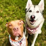 kairoandwillow profile picture