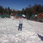 kaju_meena_manda profile picture