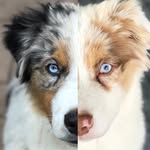 kaladin_and_storm_adventures profile picture