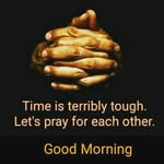 kamal.931105 profile picture