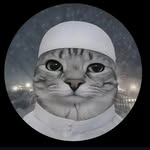kamalesh852025 profile picture