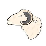 kambing_qurban_jogja profile picture