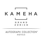 kamehazurich profile picture