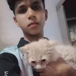 kamran84888 profile picture