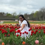 kancharla_prasanthi profile picture