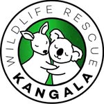 kangala_rescue profile picture