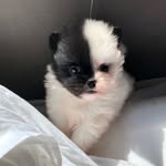 kangbany_ profile picture