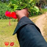 kantav___ka___sora__dase profile picture