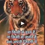 kanubhai2829 profile picture