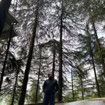 kapoor.dino profile picture