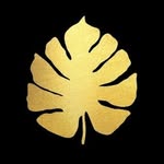 kaptainplantit profile picture