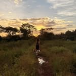 karenfernandes08 profile picture