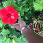 karimuabena profile picture