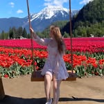 karina.tarasenko_ profile picture