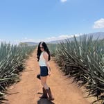 karol.ovilla profile picture