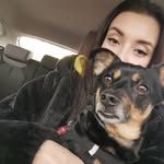 karolaharnik profile picture