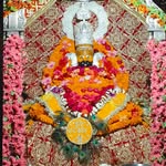 karti5911 profile picture