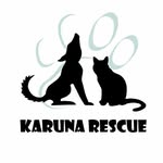 karunarescue profile picture
