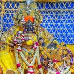 kashish_vohra1106 profile picture