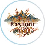 kashmir profile picture