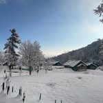 kashmir_escape profile picture