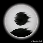 kasimelihse profile picture