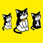 kate.gomagoma profile picture
