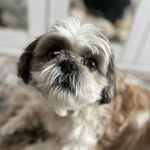 kate.leeo profile picture