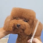 katecunninghammmmmmmmmm profile picture